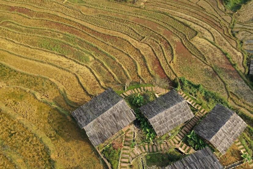 Farmer House Sa Pa